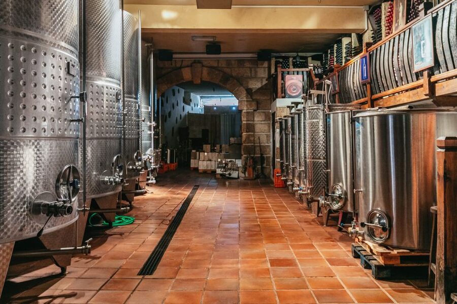 Tacoronte: Guided Winery Tour with Wine and Cheese Tastings - Who should book this winery visit?