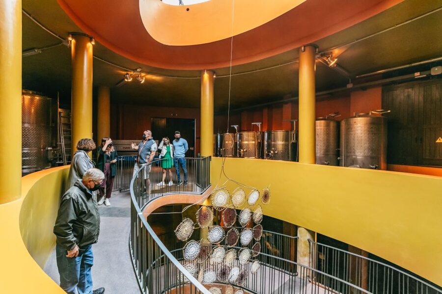Tacoronte: Guided Winery Tour with Wine and Cheese Tastings - Timing, language, and booking advice
