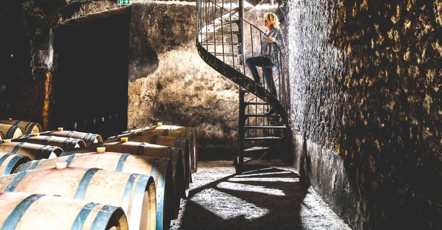 Taillan-Médoc: Château Visit and Wine Tasting in Bordeaux - Why Château du Taillan is worth the trip from Bordeaux