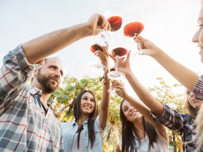Taillan-Médoc: Château Visit and Wine Tasting in Bordeaux - What the $38 price delivers