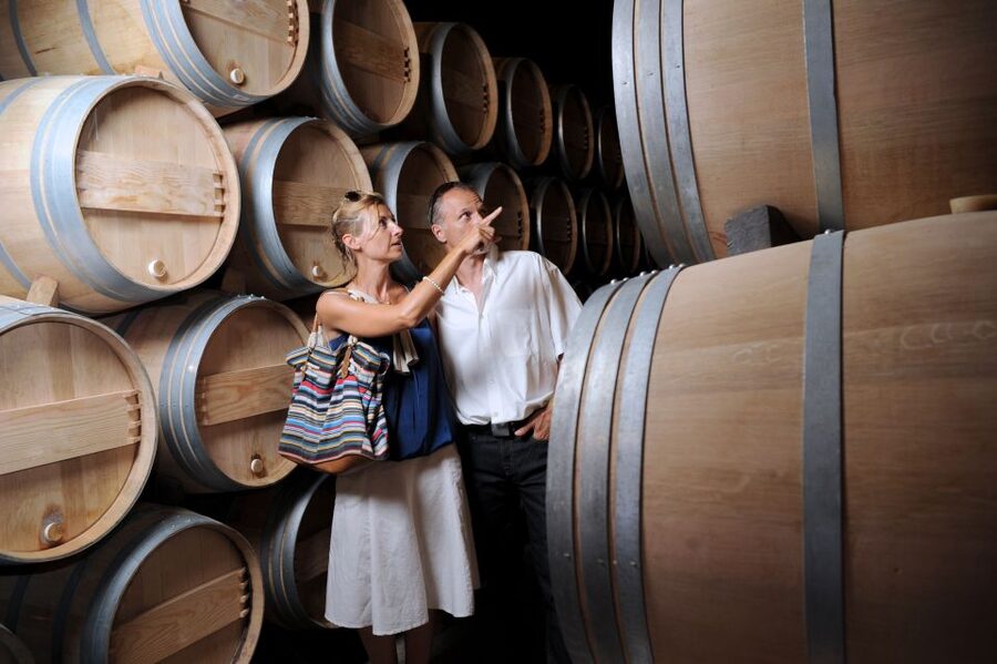 Taillan-Médoc: Château Visit and Wine Tasting in Bordeaux - Should you book Château du Taillan?