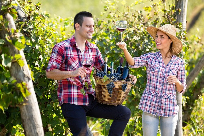 Tailor made Stellenbosch & Franschhoek Winelands Full day Tour. - DeMorgenzon and the sound of classical music