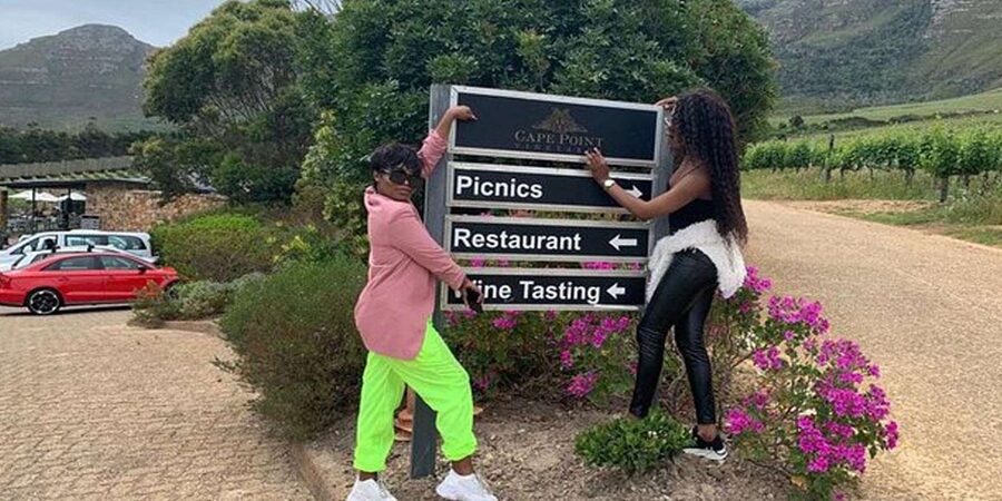 Tailor made Stellenbosch Winelands Full Day Tour - Mont Rochelle and the Franschhoek Views