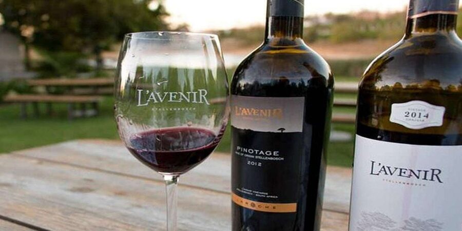 Tailor made Stellenbosch Winelands Full Day Tour - Tokara and the Last Big View