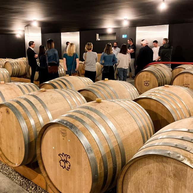 Tain l'Hermitage: Visit two wine estates and a Wine & Food Workshop - Julie’s role and the relaxed pace