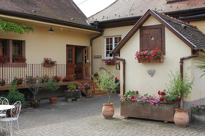 Taste Alsace: Tasting of our Alsace wines - No cellar tour - The opening pour: Bulles de Fête Crémant