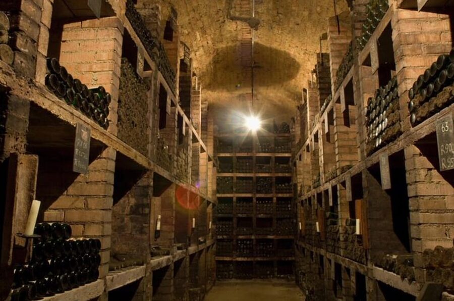 Taste and Tour Small Organic Wineries with a Winemaker - Should you book the Kapitel Zwei Wine tour?