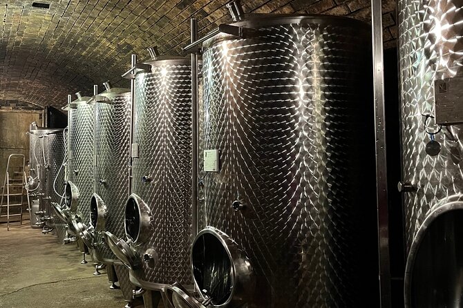 Taste and Tour Small Organic Wineries with a Winemaker - Two small wineries, two different ways of making wine