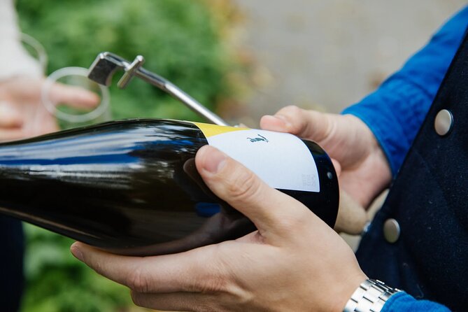 Taste and Tour Small Organic Wineries with a Winemaker - Is $111 a fair price?