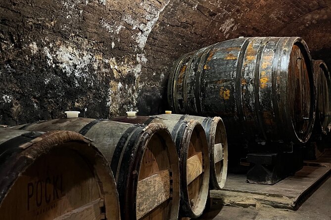 Taste and Tour Small Organic Wineries with a Winemaker - Who will enjoy this private afternoon most?