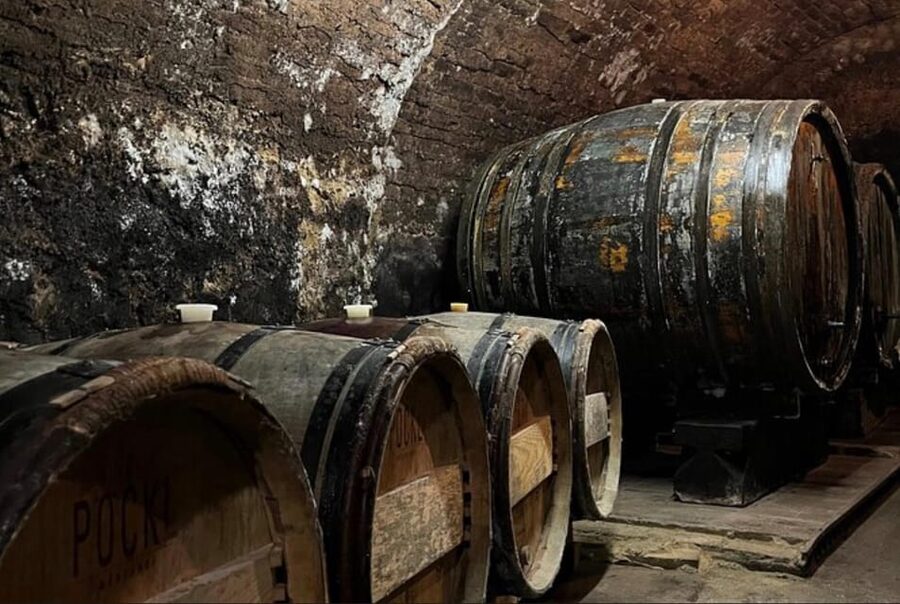 Taste and Tour Small Organic Wineries with a Winemaker - Seasonal details and practical advice