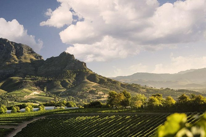 Taste + Tram the Winelands Tour: Franschhoek, Stellenbosch, Paarl - Franschhoek gives you time to choose lunch