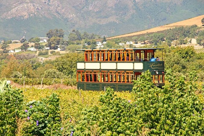 Taste + Tram the Winelands Tour: Franschhoek, Stellenbosch, Paarl - Who will enjoy this tour most?