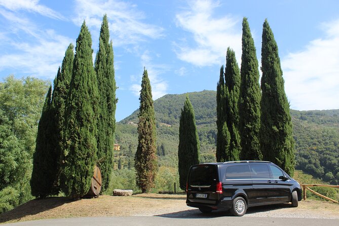 Tasting in a Tuscan Vineyard with transfer from Lucca - Key points to know before you book