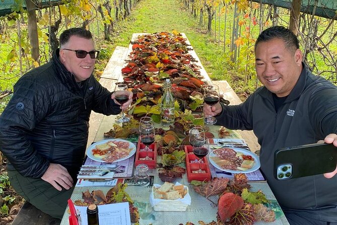 Tasting in a Tuscan Vineyard with transfer from Lucca - Leaving Lucca through Porta San Donato