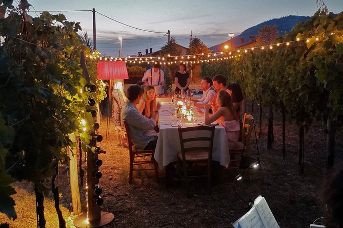 Tasting in a Tuscan Vineyard with transfer from Lucca - From the vines into the old cellar