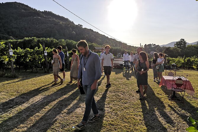 Tasting in a Tuscan Vineyard with transfer from Lucca - Who will enjoy this Lucca wine tour most?