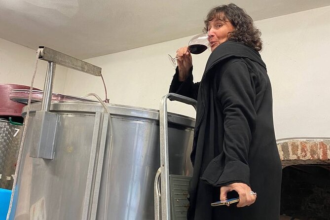 Tasting in a Tuscan Vineyard with transfer from Lucca - Inside a working Tuscan cellar