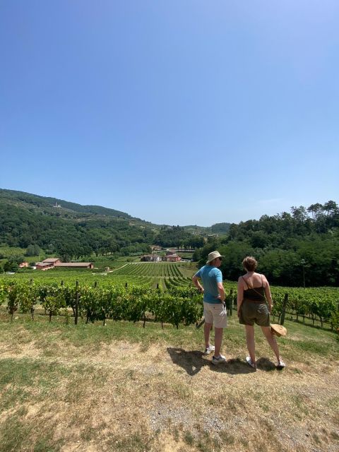 Tasting in a Tuscan Vineyard with transfer from Pisa - Who will enjoy this vineyard visit?