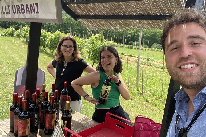 Tasting in a Tuscan Vineyard with transfer from Pisa - The tasting: wine, garden produce, and Tuscan cheese