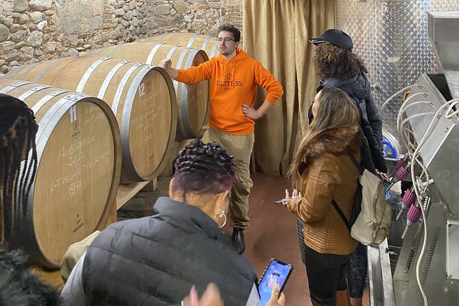 Tasting in a Tuscan Vineyard with transfer from Pisa - Meeting at Porta a Lucca
