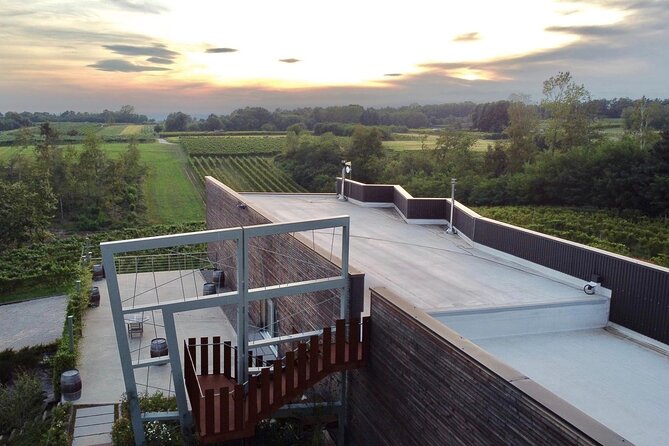 Tasting in the cellar - Should You Book This Vineyard Brunch?
