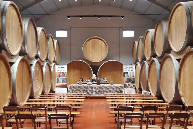 Tasting in the historic cellar of Marsala - Sicilian snacks that make the tasting work