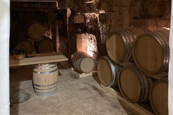 Tasting in the historic cellar of Marsala - Who will enjoy Alagna Vini most