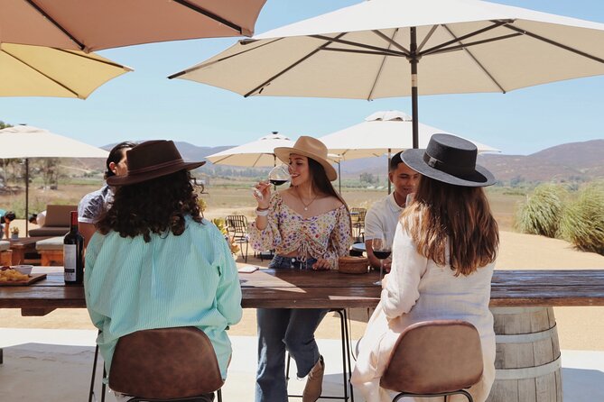Tasting of 5 wines and tour at the winery Rondo del Valle - Five wines and one underground cellar