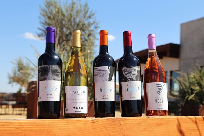 Tasting of 5 wines and tour at the winery Rondo del Valle - What the tasting feels like