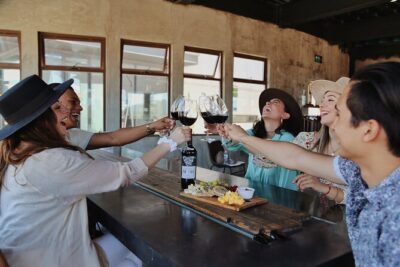 Tasting of 5 wines and tour at the winery Rondo del Valle