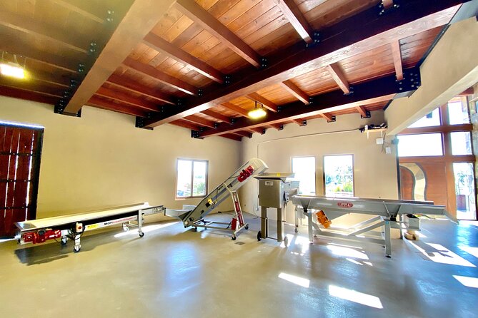 Tasting of 5 wines and tour at the winery Rondo del Valle - Finding Rondo del Valle without losing your tasting