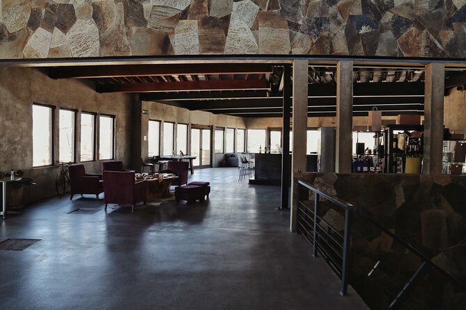 Tasting of 5 wines and tour at the winery Rondo del Valle - Group size, access, and the overall pace