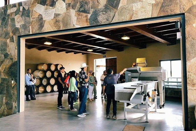 Tasting of 5 wines and tour at the winery Rondo del Valle - The people who make the visit memorable