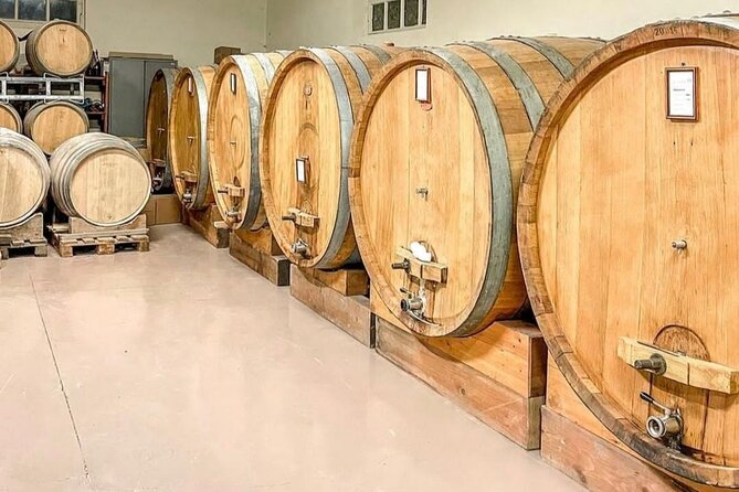 Tasting of 7 wines in the Langhe and visit to the cellar - Seven wines that cover the Piedmont basics