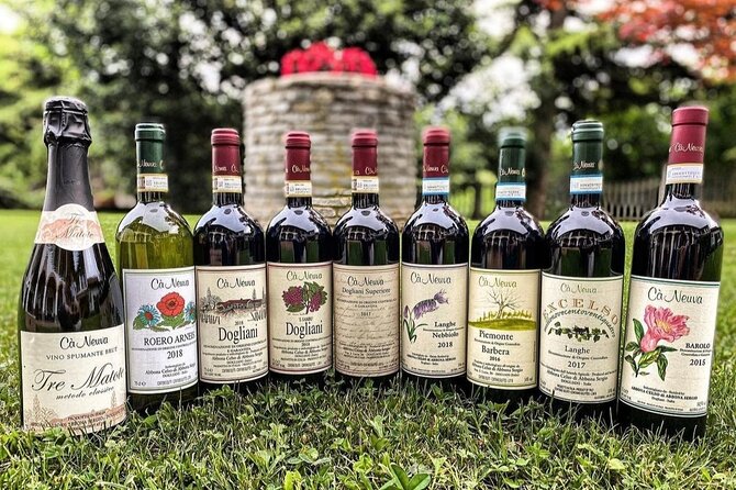 Tasting of 7 wines in the Langhe and visit to the cellar - Why the two-hour length works