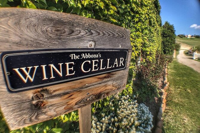 Tasting of 7 wines in the Langhe and visit to the cellar - Is $42.17 good value for seven wines?