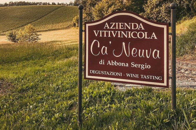 Tasting of 7 wines in the Langhe and visit to the cellar - Who should book this Dogliani tasting?
