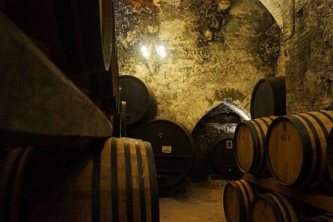 Tasting Tour in One of The Most Beautiful Cellars in the World - Key points to know before you book