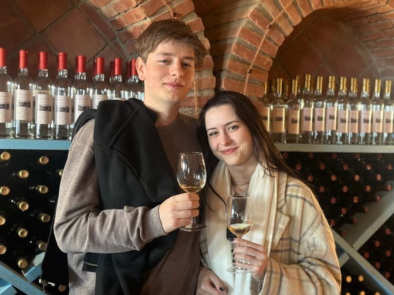 Tbilisi: Kakheti Wine Region Tour with 10 Wine Tastings - The first winery: a broad introduction to Kakhetian wine