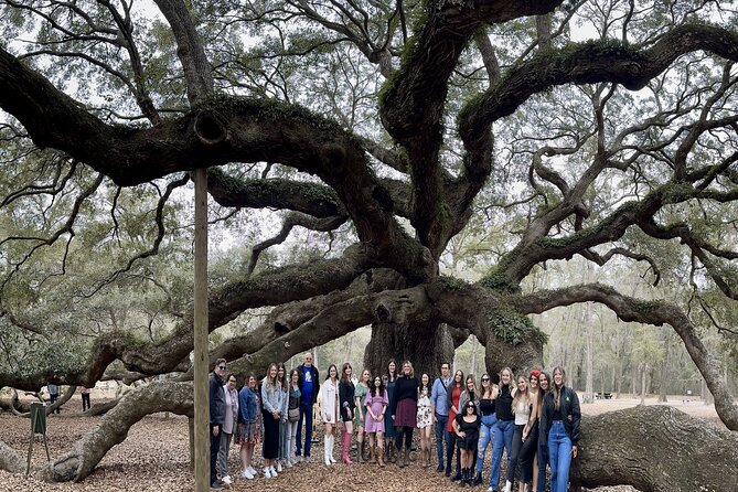 Tea Plantation and Winery Tour in Charleston - Key points to know before booking