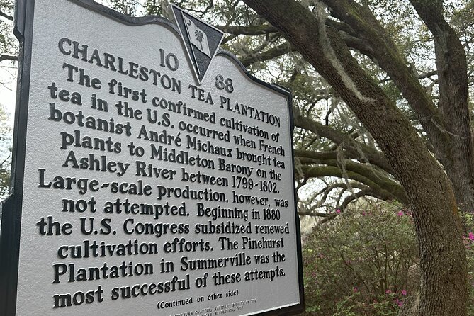 Tea Plantation and Winery Tour in Charleston - Charleston Tea Garden: the tour’s strongest included activity