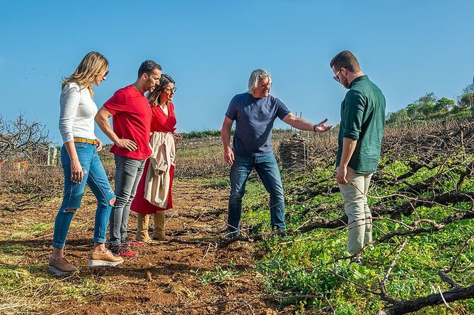 Tenerife Bodegas Monje Winery Tour with Wine and Cheese Tasting - How the $42.24 price holds up