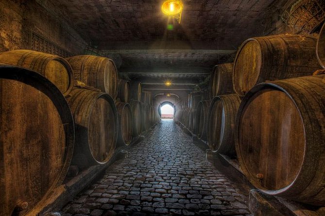 Tenerife Bodegas Monje Winery Tour with Wine and Cheese Tasting - The four wines and their Canarian cheese partners