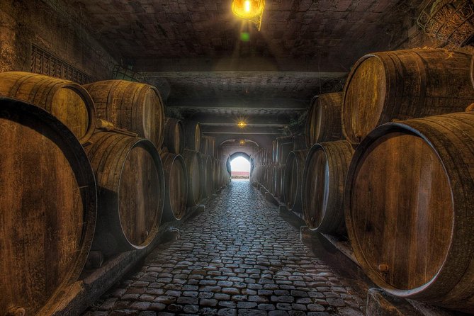 Tenerife Gastronomy Tour with Two Winery Visits and 4-Course Lunch - Who should book this Tenerife wine tour?