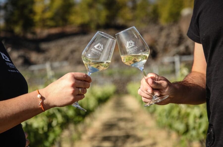 Tenerife: Tour of an Organic Vineyard with Tasting & Snacks - Learning how wine is made, one stop at a time