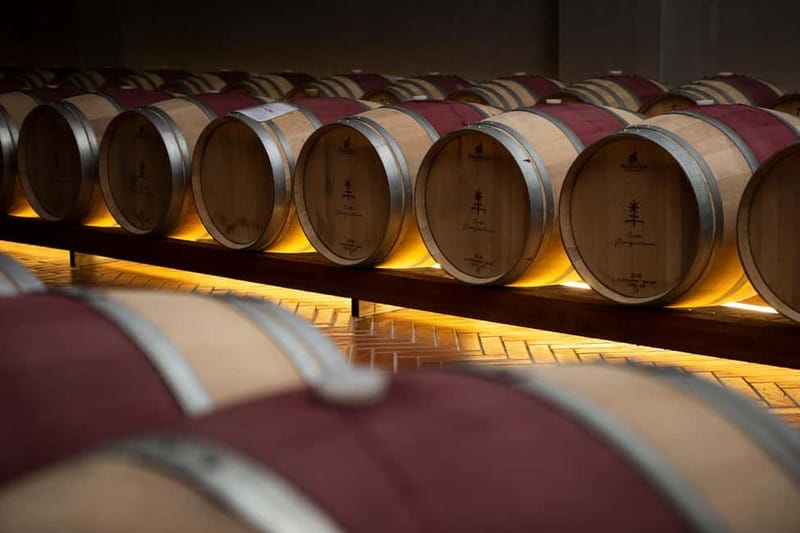 Tenute Girolamo: Winery tour and Classic tasting in the Itria Valley - Practical planning for a better visit