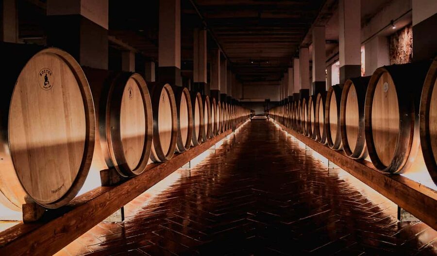 Tenute Girolamo: Winery tour and Premium Tasting in the Itria Valley - Why this winery visit works in the Itria Valley