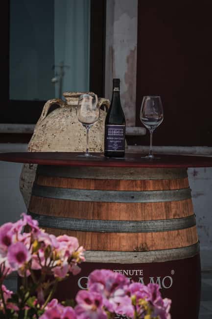 Tenute Girolamo: Winery tour and Premium Tasting in the Itria Valley - Four wines paired with Apulian food