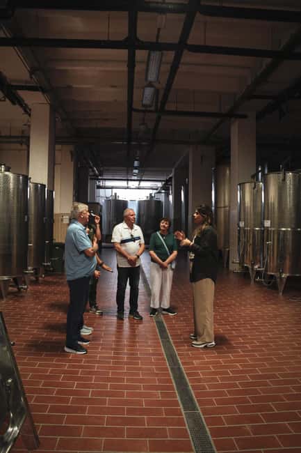 Tenute Girolamo: Winery tour and Premium Tasting in the Itria Valley - Timing, accessibility, and booking details